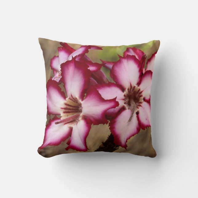 Impala Lily (Adenium Multiflorum), Kruger Throw Pillow (Front)