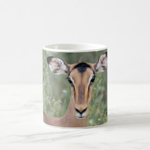 Impala Portrait Coffee Mug