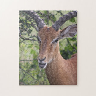 Impala Wildlife Jigsaw Puzzle Puzzle