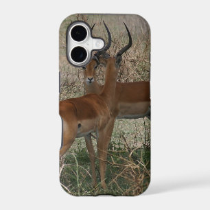 Impalas on the Serengeti