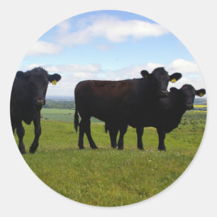 Impatience Classic Round Sticker