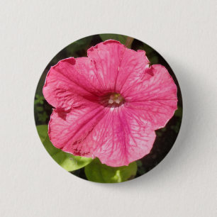 Impatiens Dark Pink Button