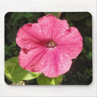 Impatiens Dark Pink Mousepad