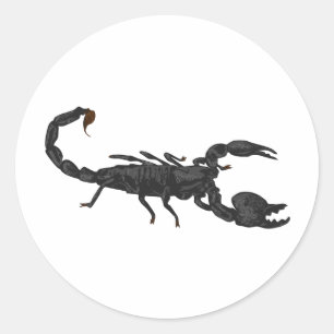 Imperial Black Scorpion Classic Round Sticker