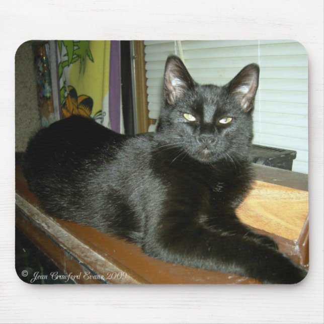 Imperial kitty mouse pad (Front)