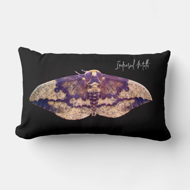 Imperial Moth Lumbar Pillow (Front)