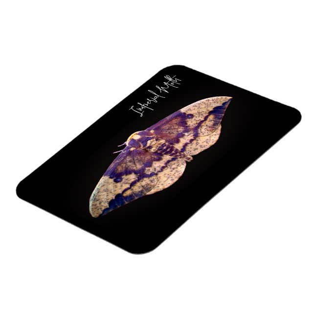 Imperial Moth Magnet (Left Side)