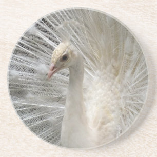 Imperial Peacock Coaster