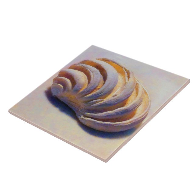 Imperial Venus Shell Tile (Side)