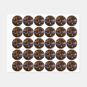 Implicitly Understood