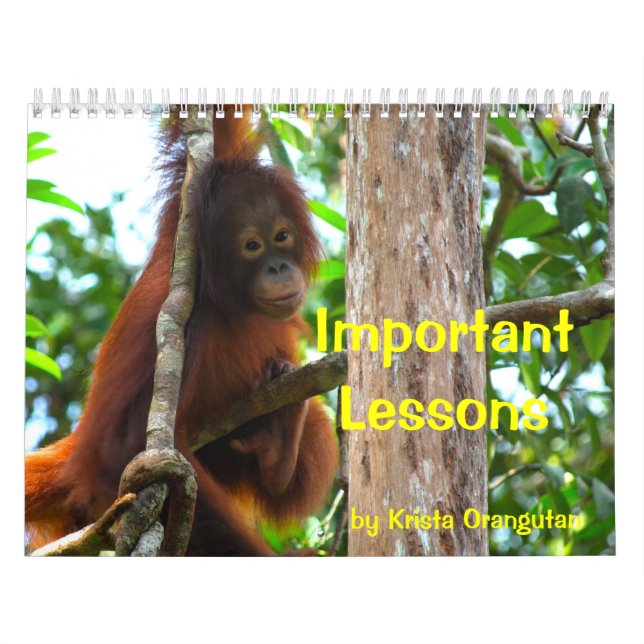 Important Lessons for Children by Krista Orangutan Calendar (Cover)