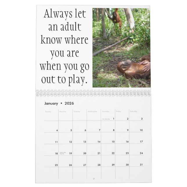 Important Lessons for Children by Krista Orangutan Calendar (Jan 2026)