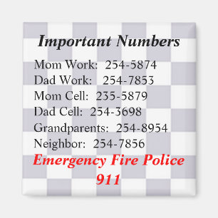Important Numbers Magnet