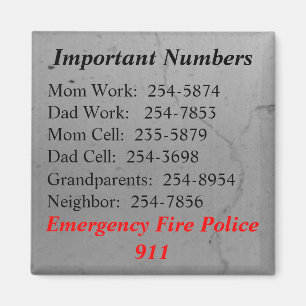 Important Numbers Magnet