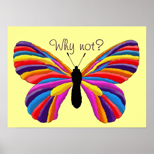 Impossible Butterfly - Why Not? Poster (Front)