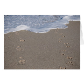 Impossible d'enregistrer le temps. Dépensez-le jud