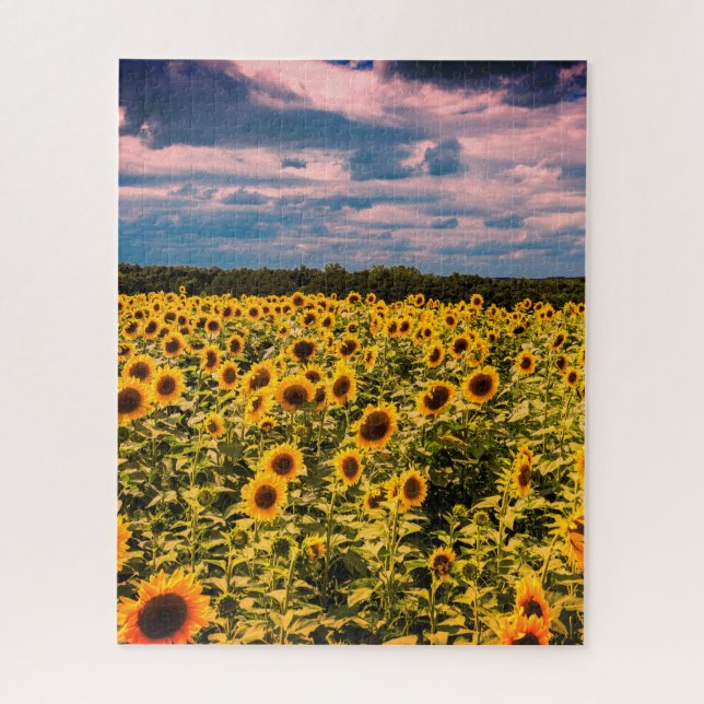 Impossible Puzzle - Champ de tournesol (Vertical)