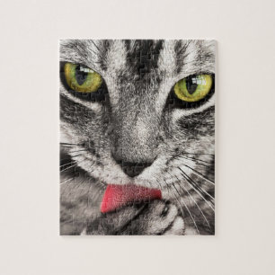 Impossible Puzzle - chat rayé gris