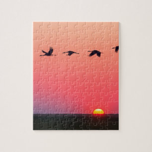 Impossible Puzzle - Migrating Birds