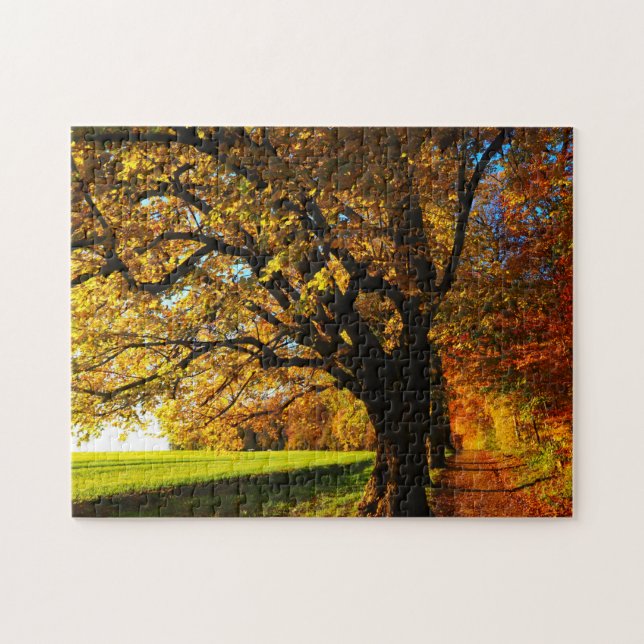 Impossible Puzzle - Sunny Autumn (Horizontal)