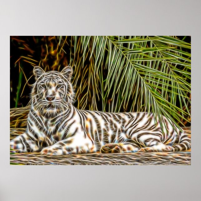 Impression Abstraite de tigre blanc (Devant)
