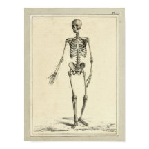 Impression anatomique squelette vintage 1831