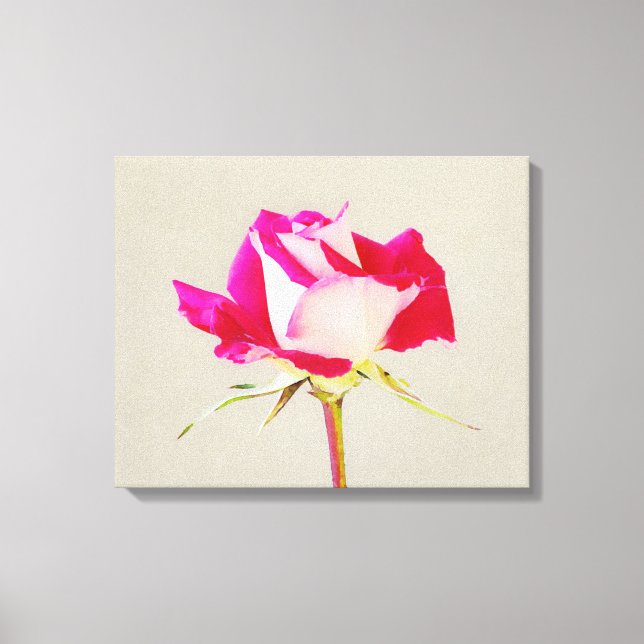 Impression artistique photographique d'une rose un (Recto)