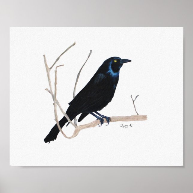 Impression Blackbird 8x10 (Devant)