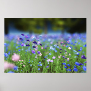 Impression Bleu Barbeau