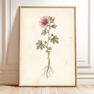 Impression botanique de galerie murale Vintage Mal