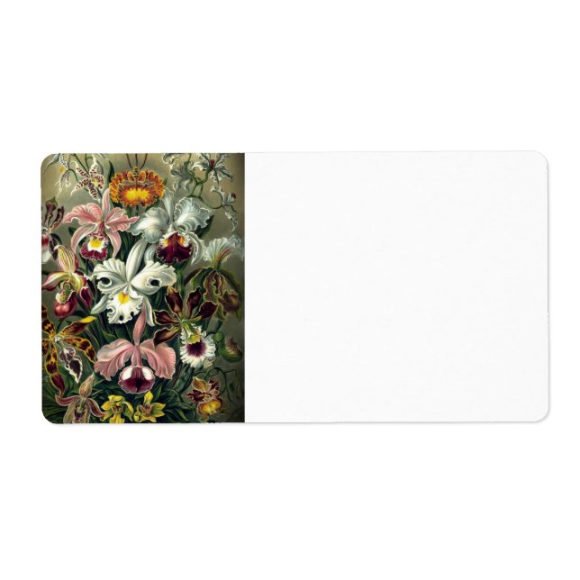 Impression botanique des orchidées (Devant)