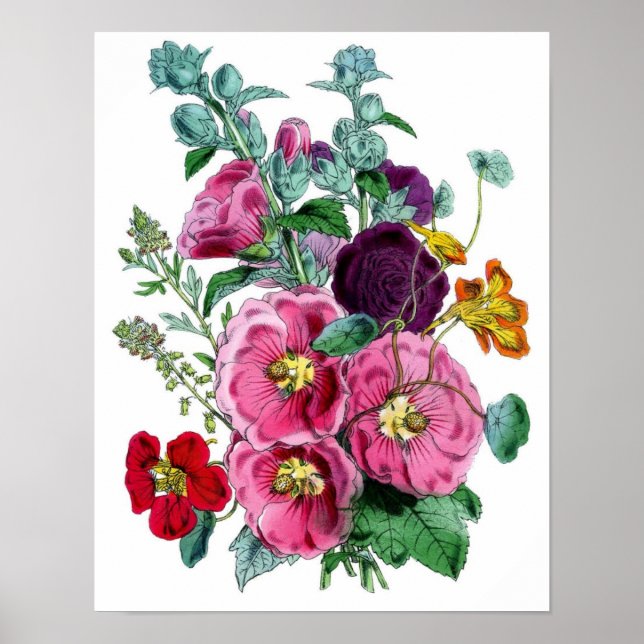 Impression botanique - Hollyhocks et Rose (Devant)