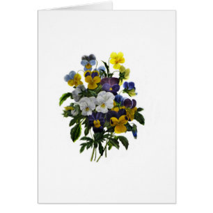 Impression botanique vintage Pansy
