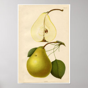 Impression botanique vintage - Porte