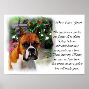 Impression Boxer Dog Art
