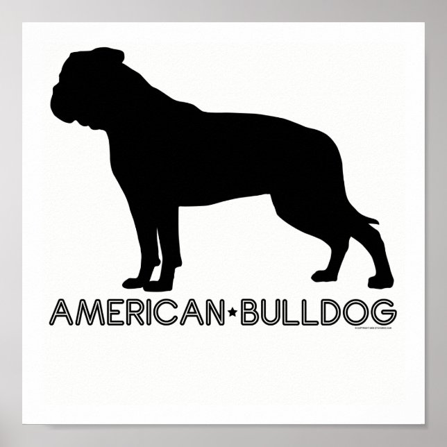 Impression Bulldog américaine (Devant)