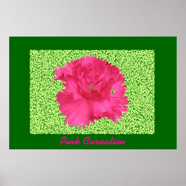 Impression Carnation rose (Devant)