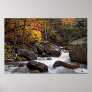 Impression cascade d'automne
