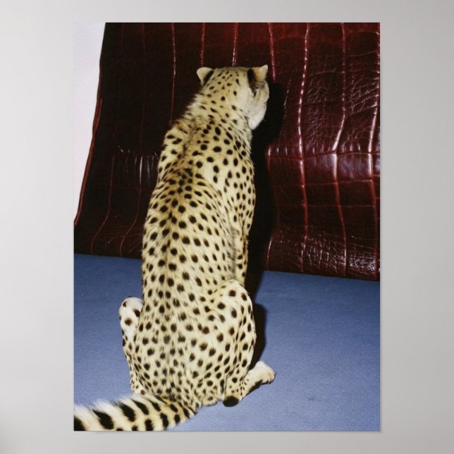 Impression Cheetah (Devant)