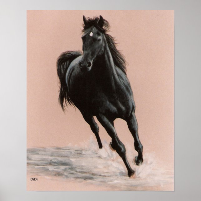 Impression Cheval d'Arabie Noire (Devant)