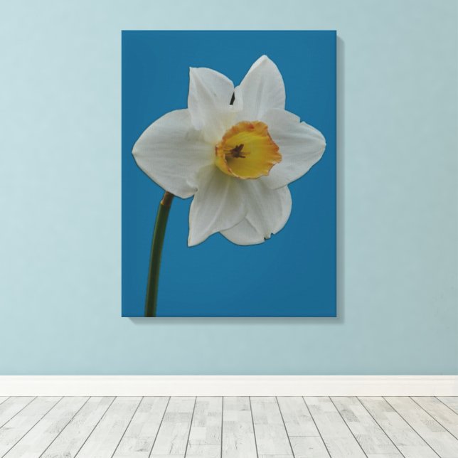Impression Daffodique (Insitu (Plancher de Bois))