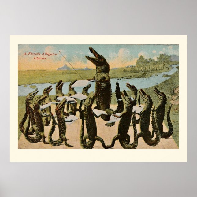Impression d'alligators chantant (Devant)