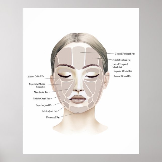 Impression d'anatomie du visage 1  (Devant)