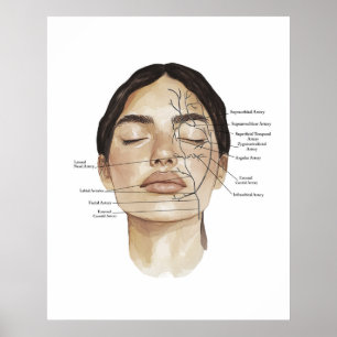 Impression d'anatomie du visage 3