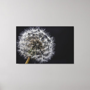 Impression Dandelion Art