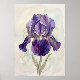 Impression d'art à l'aquarelle Iris Violet Flora