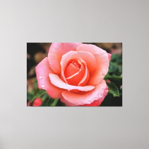 Impression d'art botanique Rose romantique