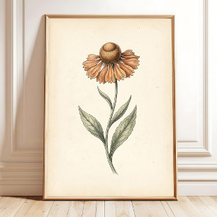 Impression d'art botanique vintage de Sneezeweed