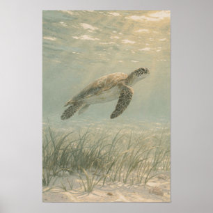 Impression d'art côtière et océanique de tortue ma