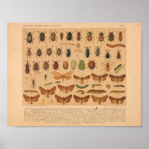 Impression d'art couleur vintage